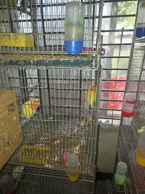 ফুল সেটআপ সেল