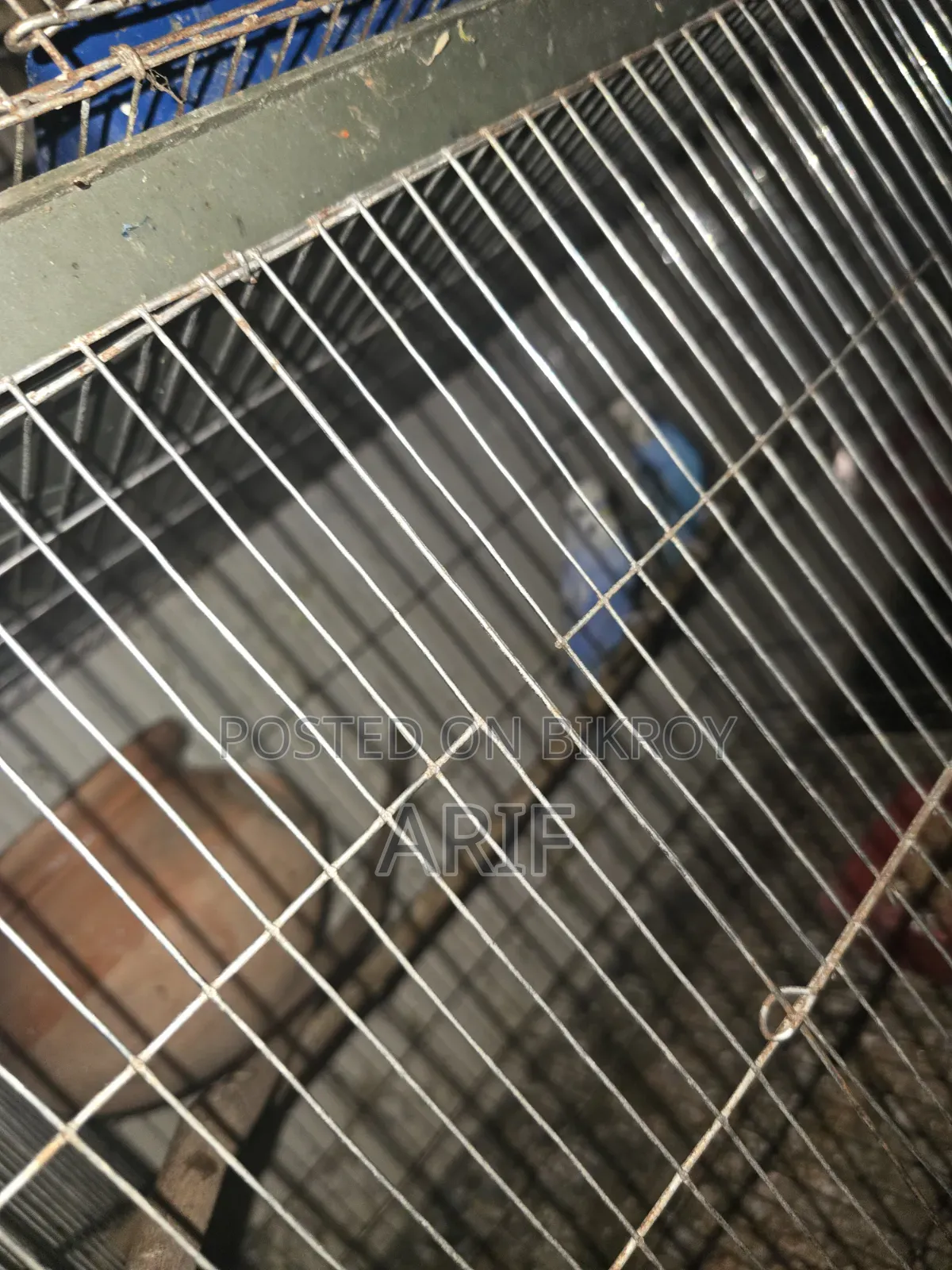 ফুল সেটআপ সেল