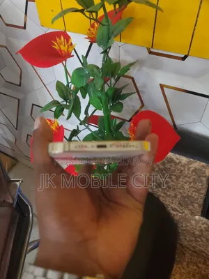 অ্যাপল আইফোন ১২ প্রো ম্যাক্স ১২৮ জিবি গোল্ড