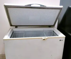 LG Deep Fridge
