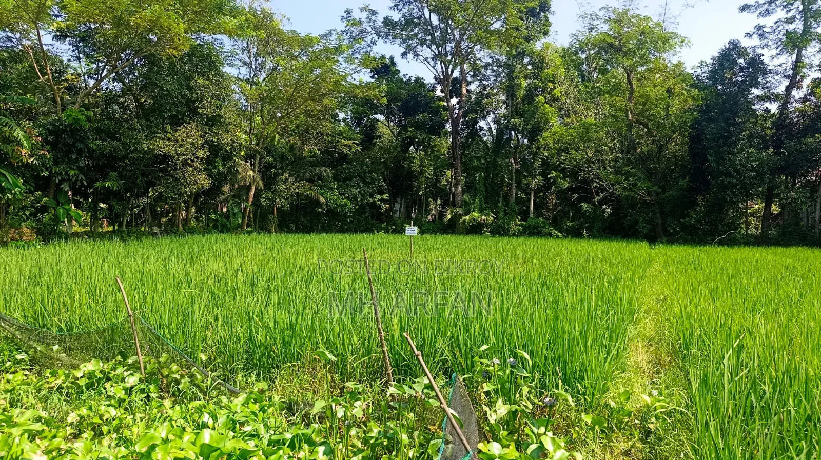 একটি কৃষি জমি বিক্রি হবে