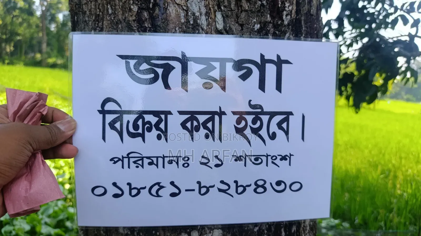 একটি কৃষি জমি বিক্রি হবে