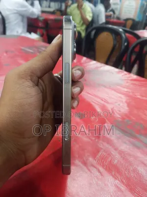অ্যাপল আইফোন ১৬ প্রো ম্যাক্স ২৫৬ জিবি সিলভার
