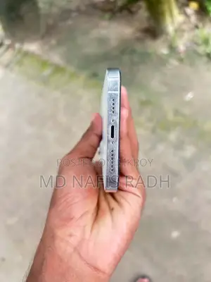 অ্যাপল আইফোন ১২ প্রো ম্যাক্স ২৫৬ জিবি হোয়াইট