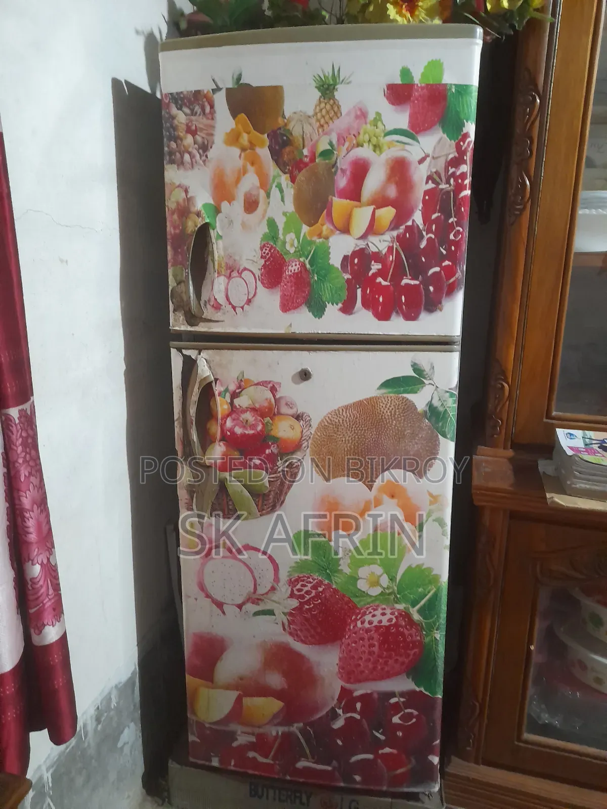 Electric Fridge