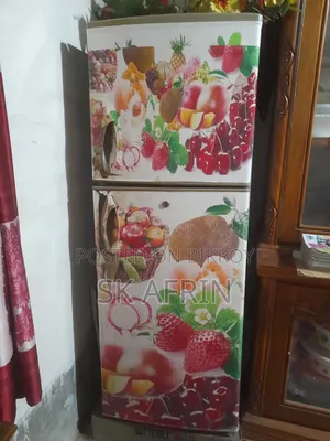 Electric Fridge