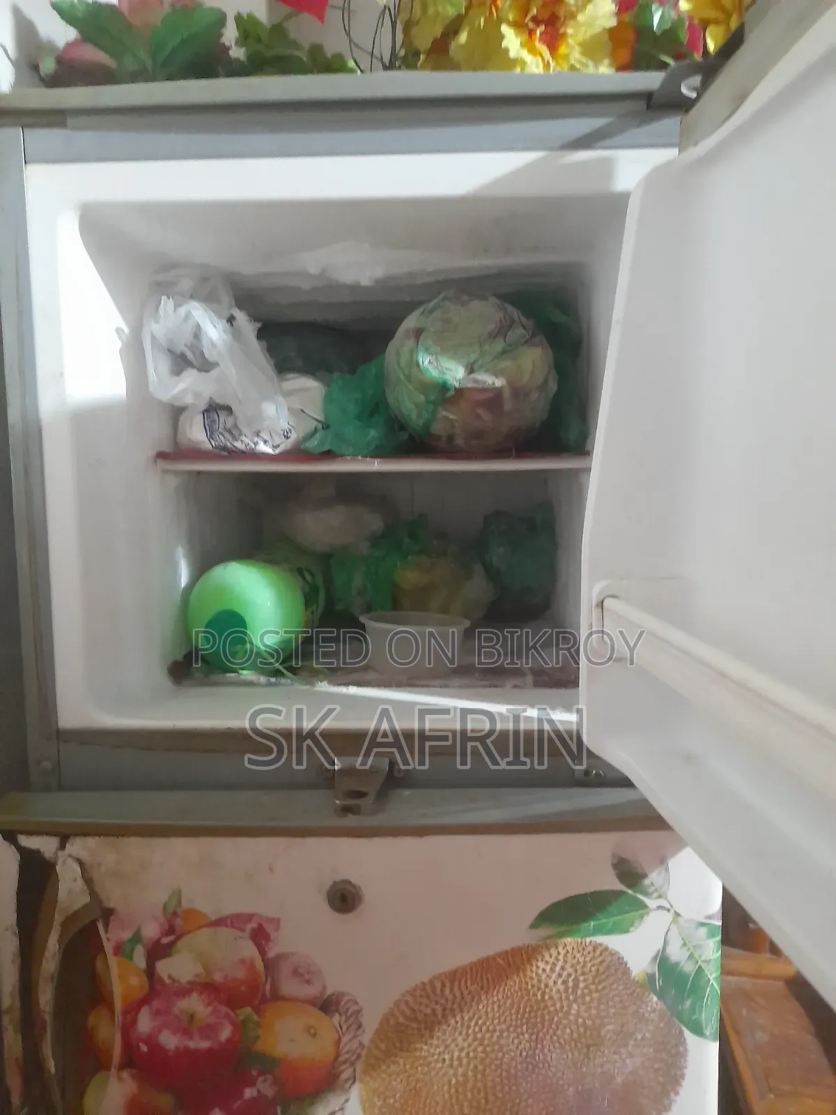 Electric Fridge