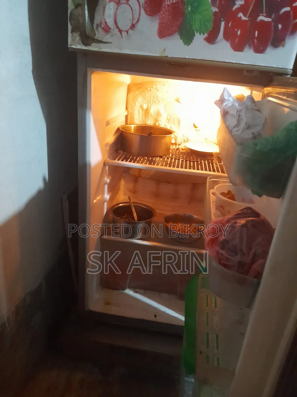 Electric Fridge