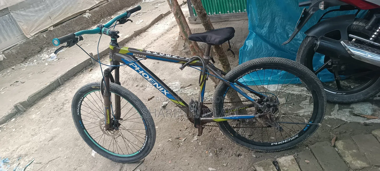 Phoenix Cycle