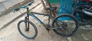 Phoenix Cycle