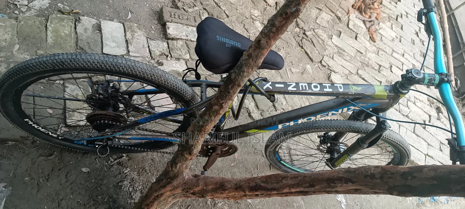 Phoenix Cycle