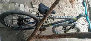 Phoenix Cycle