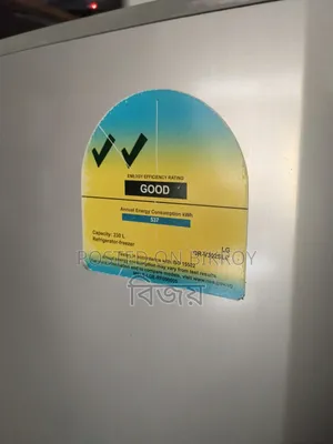 LG Running Fridge