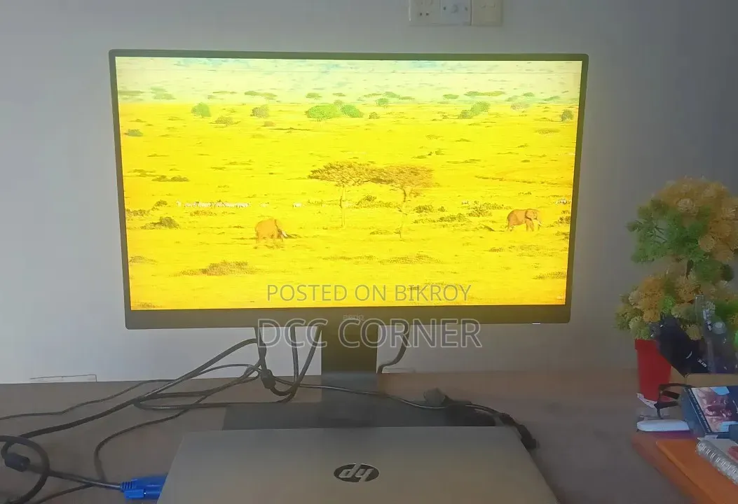 BenQ Monitor