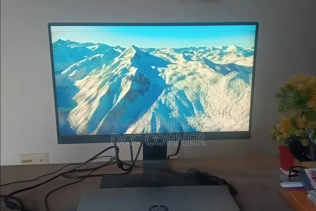BenQ Monitor