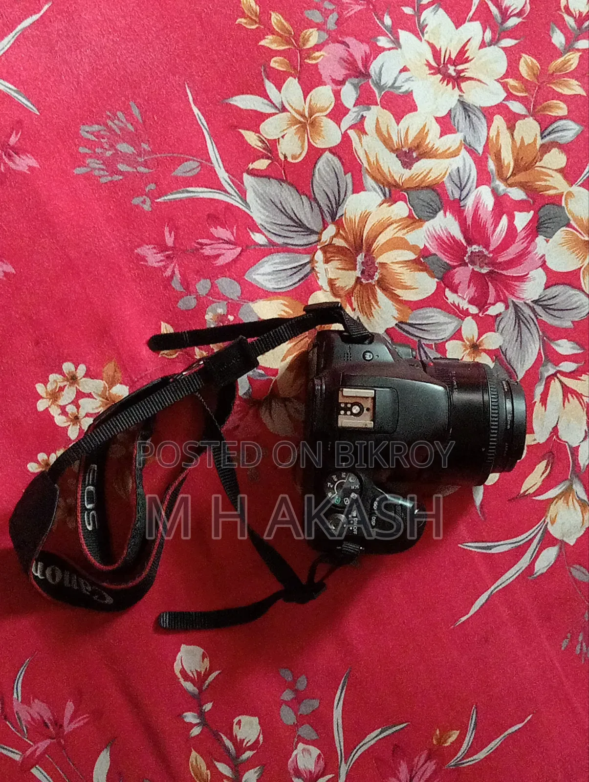 Canon 200d With Youngnuo 50mm Prime Lens