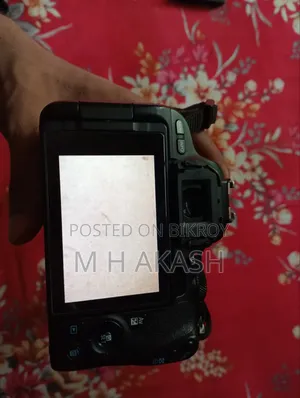 Canon 200d With Youngnuo 50mm Prime Lens