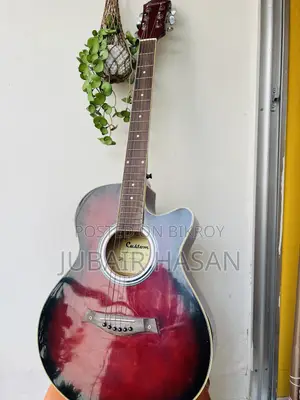 কাস্টম গিটার
