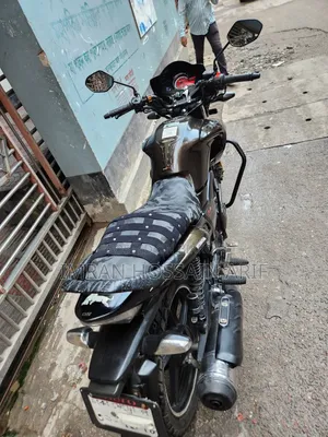 হিরো হাঙ্ক ২০১৬ ব্রাউন