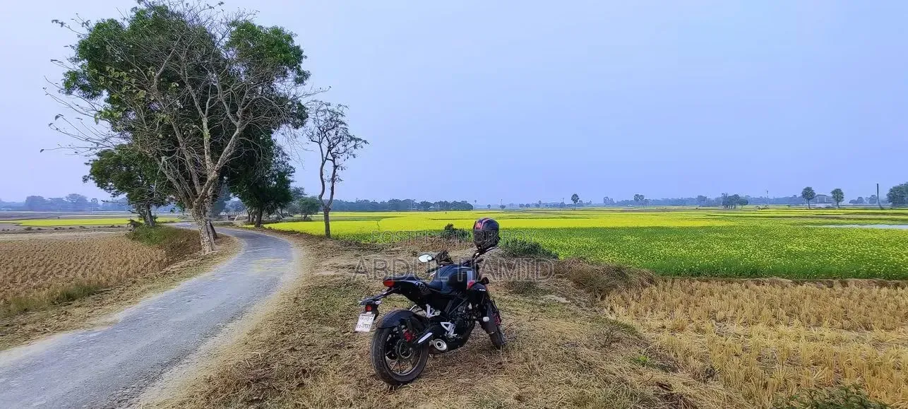 হোন্ডা সিবি ২০২০ কালো