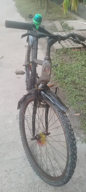 বাই সাইকেল