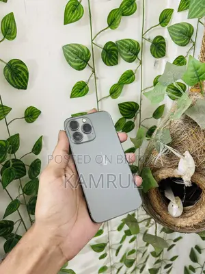 Apple iPhone 13 Pro 128 GB Gray