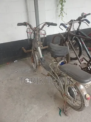 টেইলগ সি-এক্স২ ২০২২ হোয়াইট