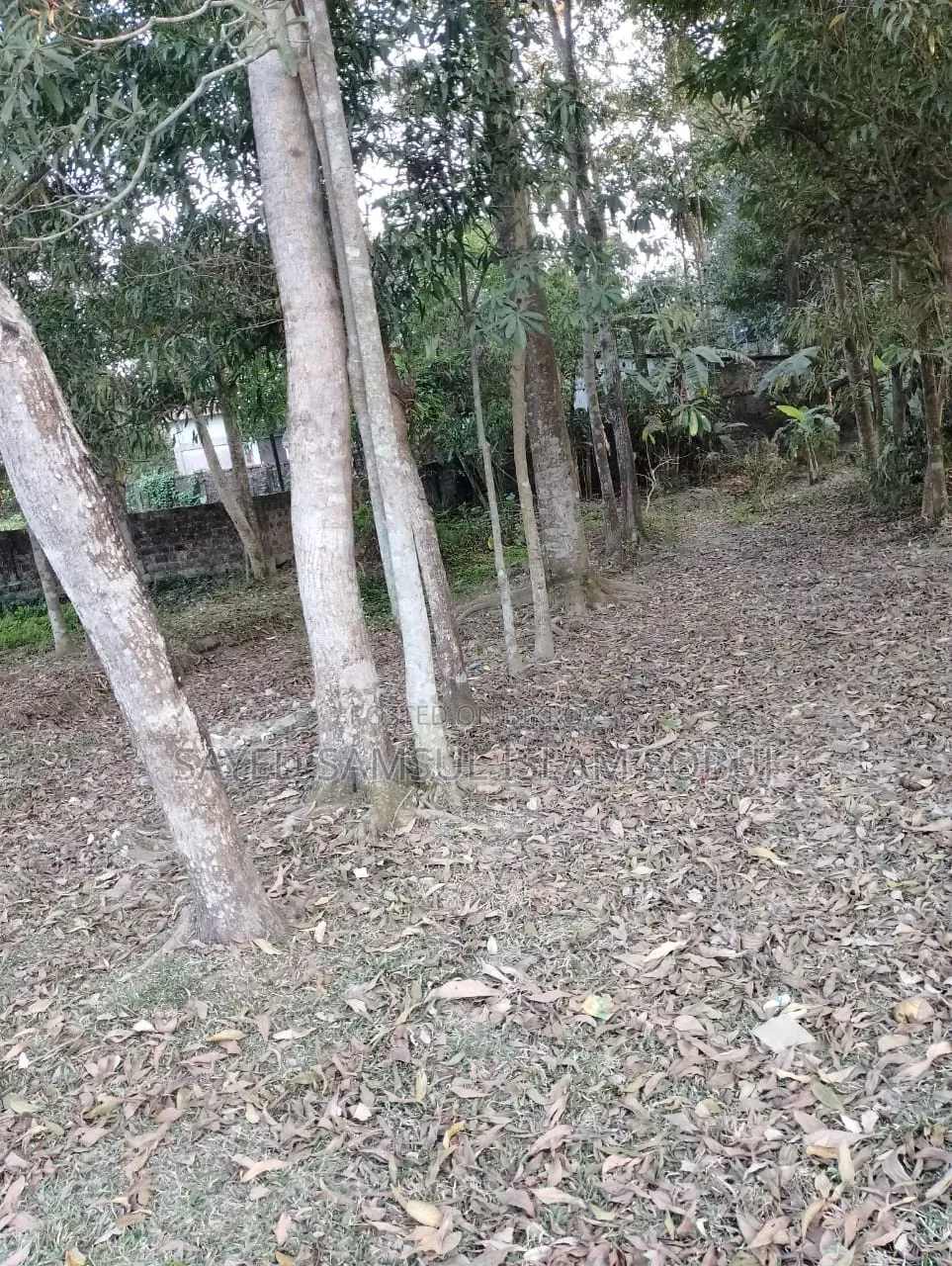 ৭ শতক জায়গা বিক্রি হবে