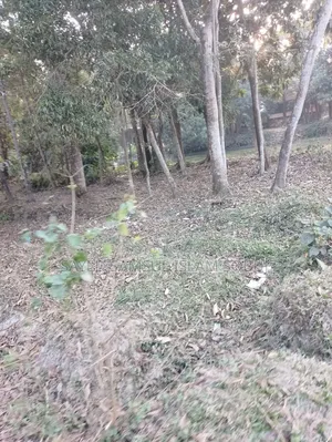 ৭ শতক জায়গা বিক্রি হবে