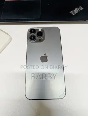 Apple iPhone 13 Pro Max 256 GB Silver