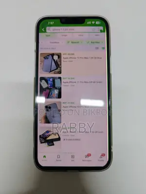 Apple iPhone 13 Pro Max 256 GB Silver