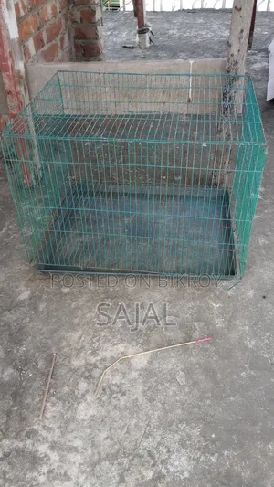 Bird Case/ পাখির খাচা/ মুরগীর খাচা