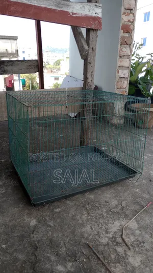 Bird Case/ পাখির খাচা/ মুরগীর খাচা