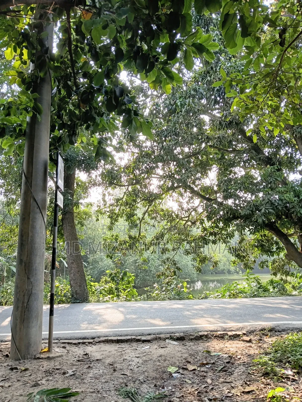 রাজশাহী লিলি মোড় থেকে ডালমিলের ৫০ ফিট সামনে"