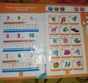 Zayan Intelligence Book