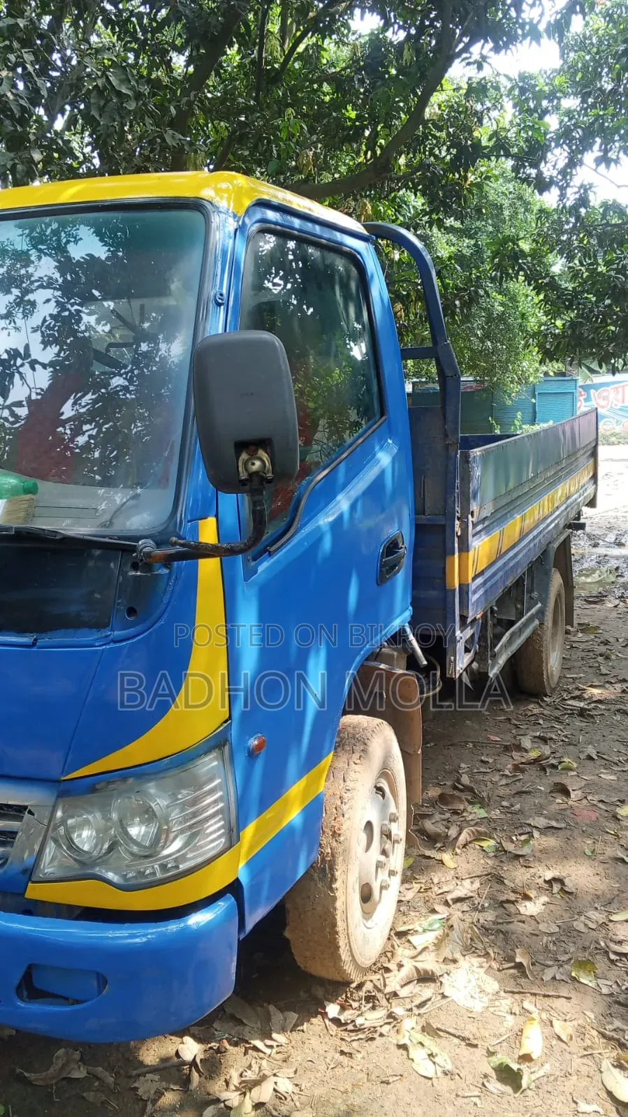 বাধন মোল্লা