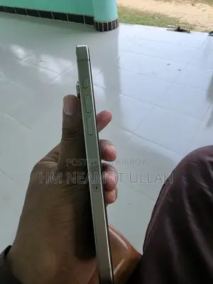 Apple iPhone 15 Pro Max 256 GB Gray