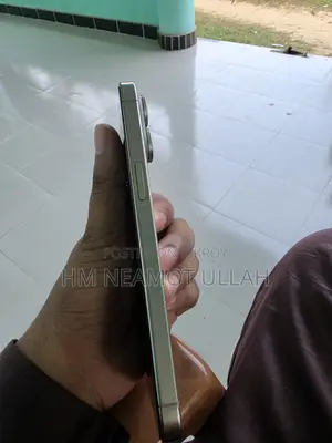 Apple iPhone 15 Pro Max 256 GB Gray