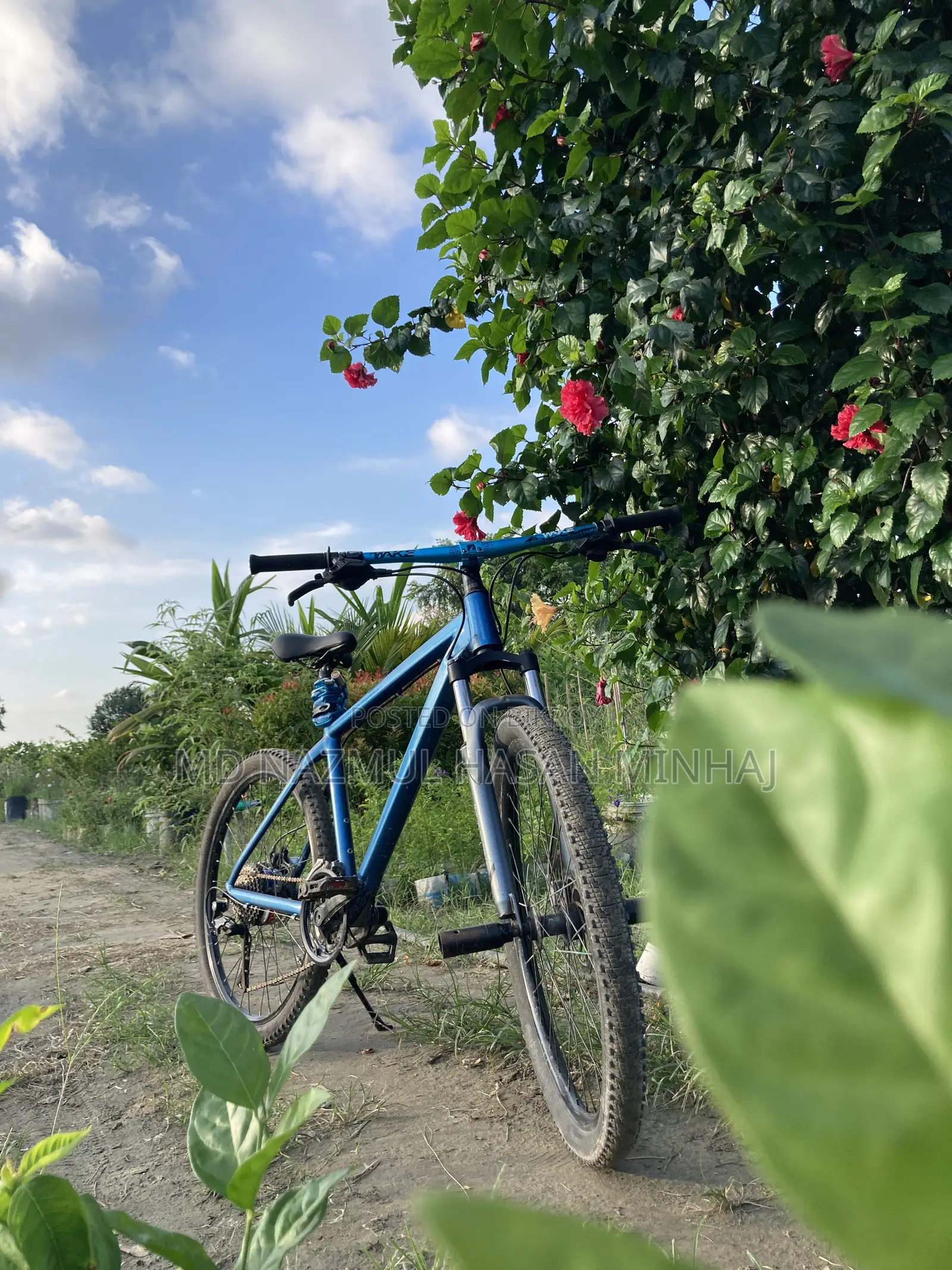 অয়েল ব্রেক সাইকেল