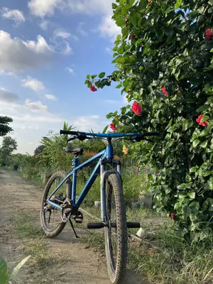 অয়েল ব্রেক সাইকেল