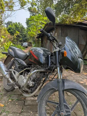বাজাজ পালসার ১৫০ ২০০৪ ব্ল্যাক