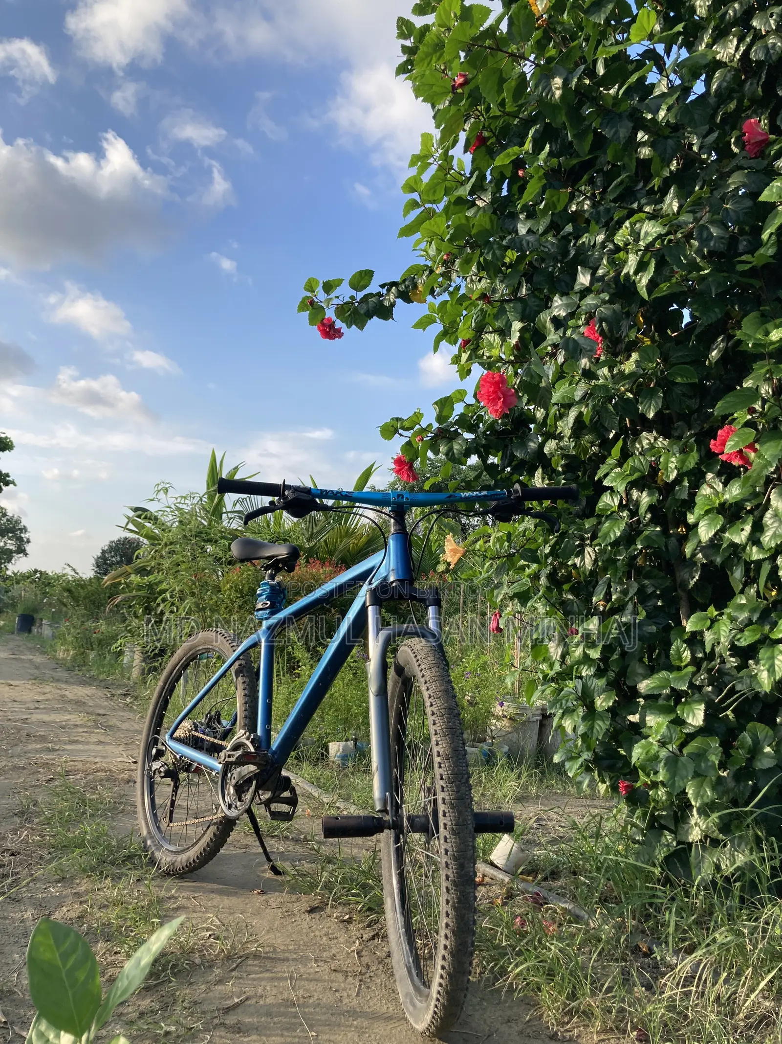 অয়েল ব্রেক সাইকেল