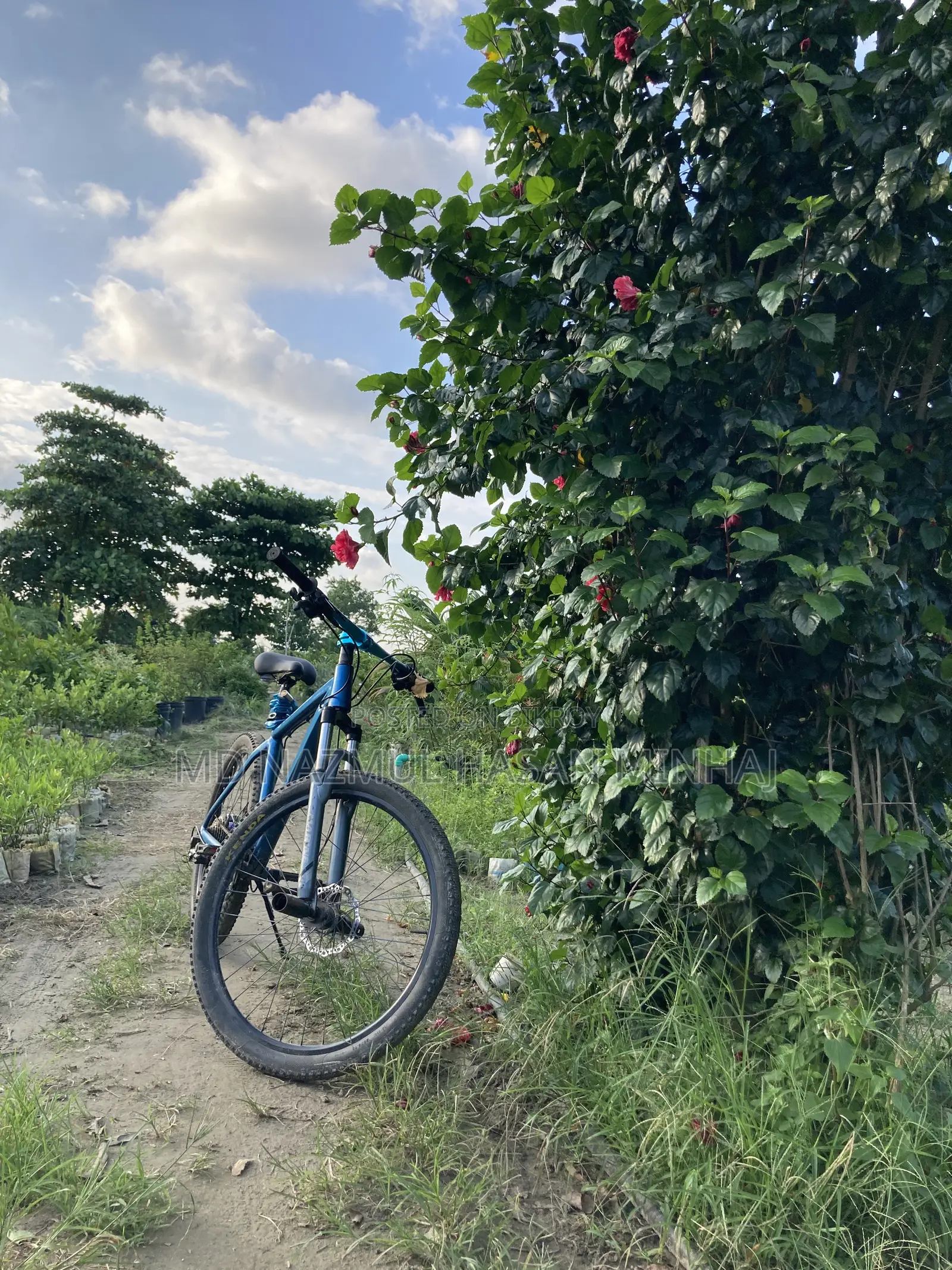 অয়েল ব্রেক সাইকেল