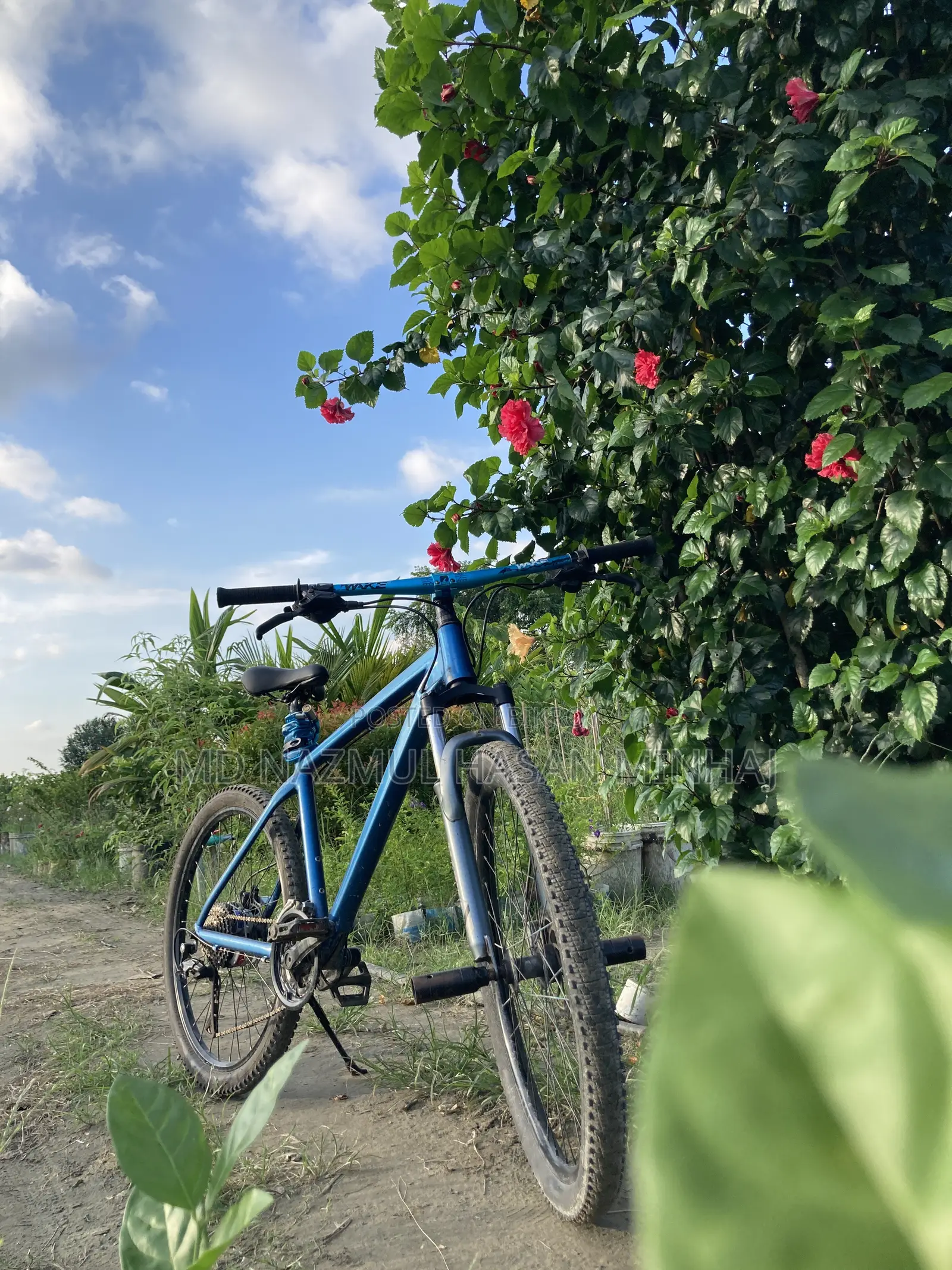 অয়েল ব্রেক সাইকেল