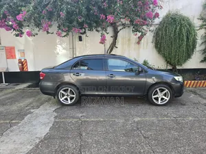 Toyota Axio 2009 Gray