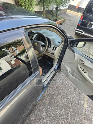 Toyota Axio 2009 Gray