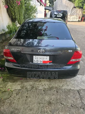 Toyota Axio 2009 Gray