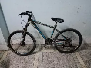 ফিনিক্স আরগাস সাইকেল