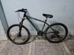 ফিনিক্স আরগাস সাইকেল