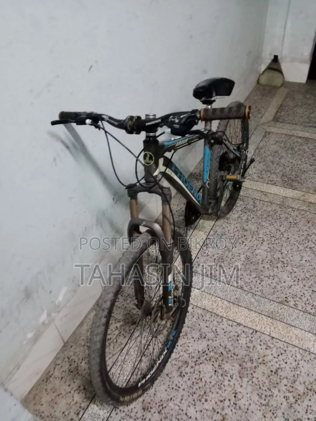 ফিনিক্স আরগাস সাইকেল